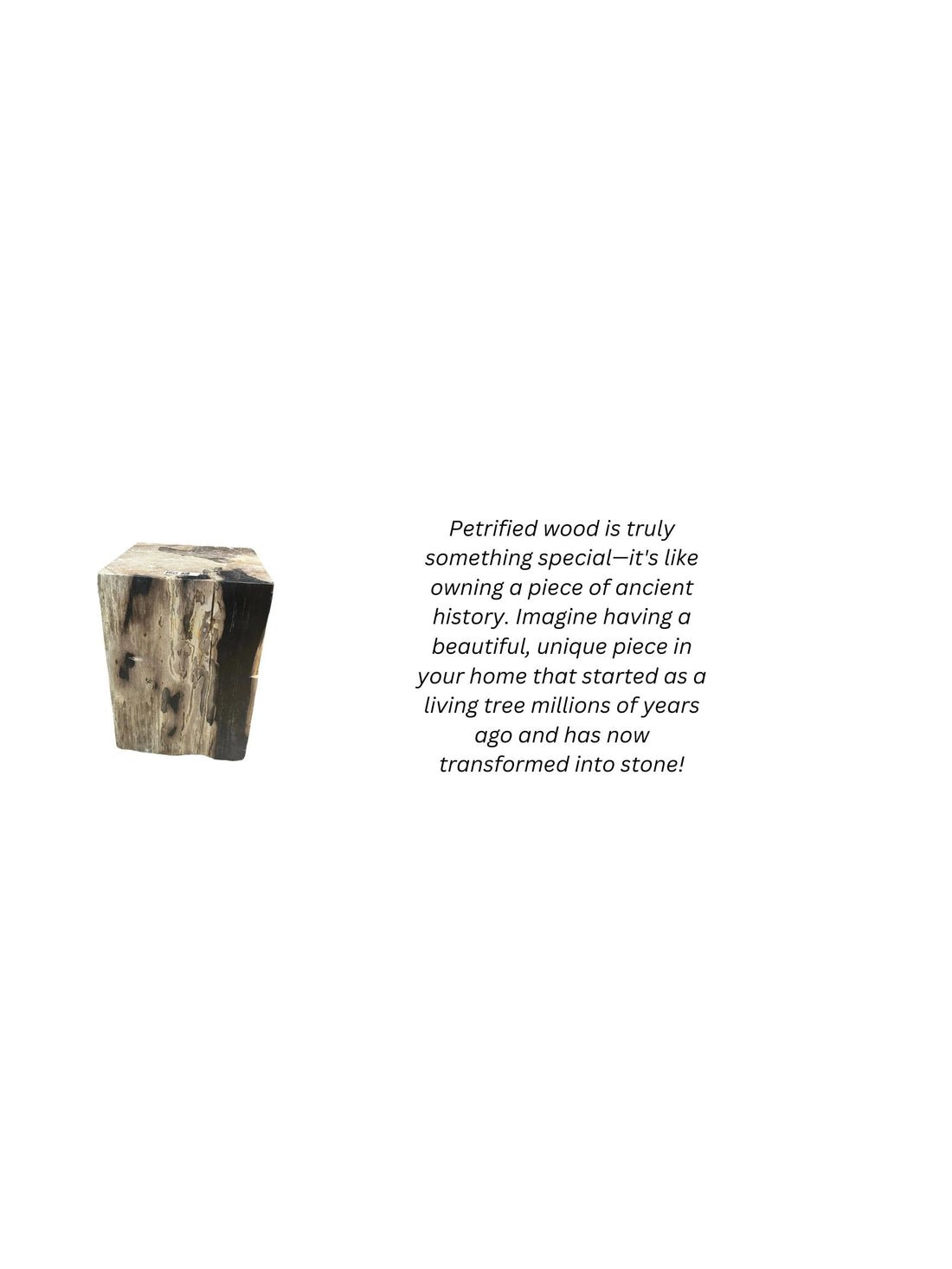 Petrified Wood