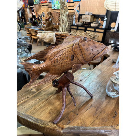 Teak Hogfish on Stand