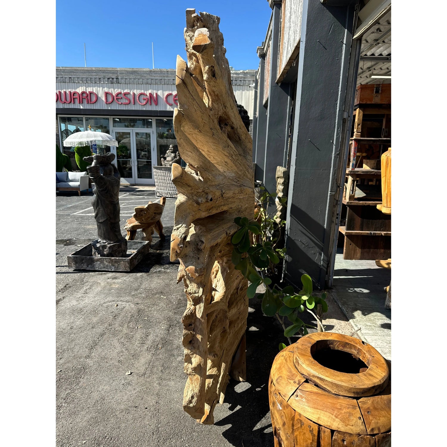 XXXL Teak Root Deco Carving Broward Design Center