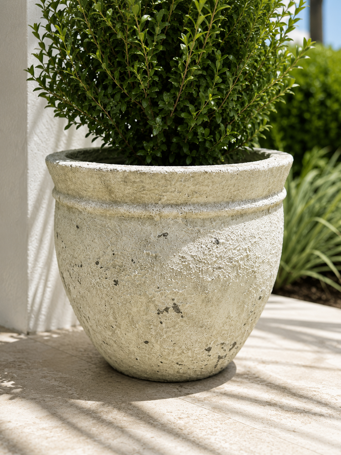 Coastal ficonstone planter, 11 inch high x 13 inch wide, additional view 2