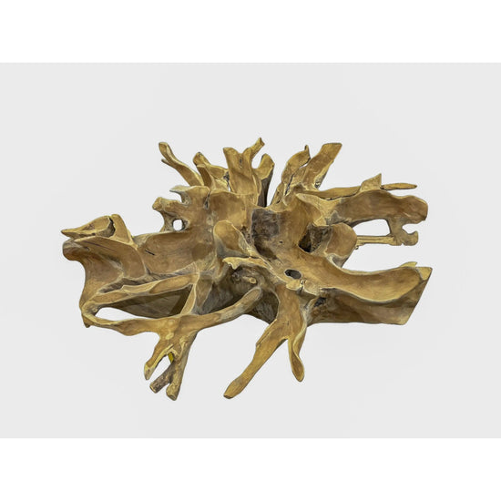 Teak Root Coffee Table (K) Broward Design Center