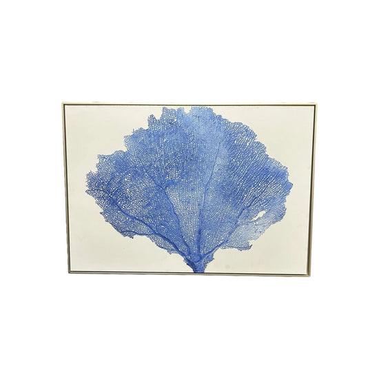 Blue Coral Sea Fan Broward Design Center