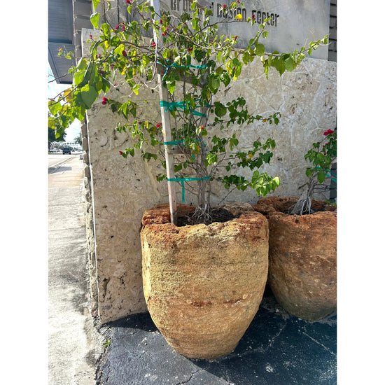 Organic Limestone Pot Anteak