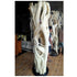 Bleached Banyan on Stand Anteak