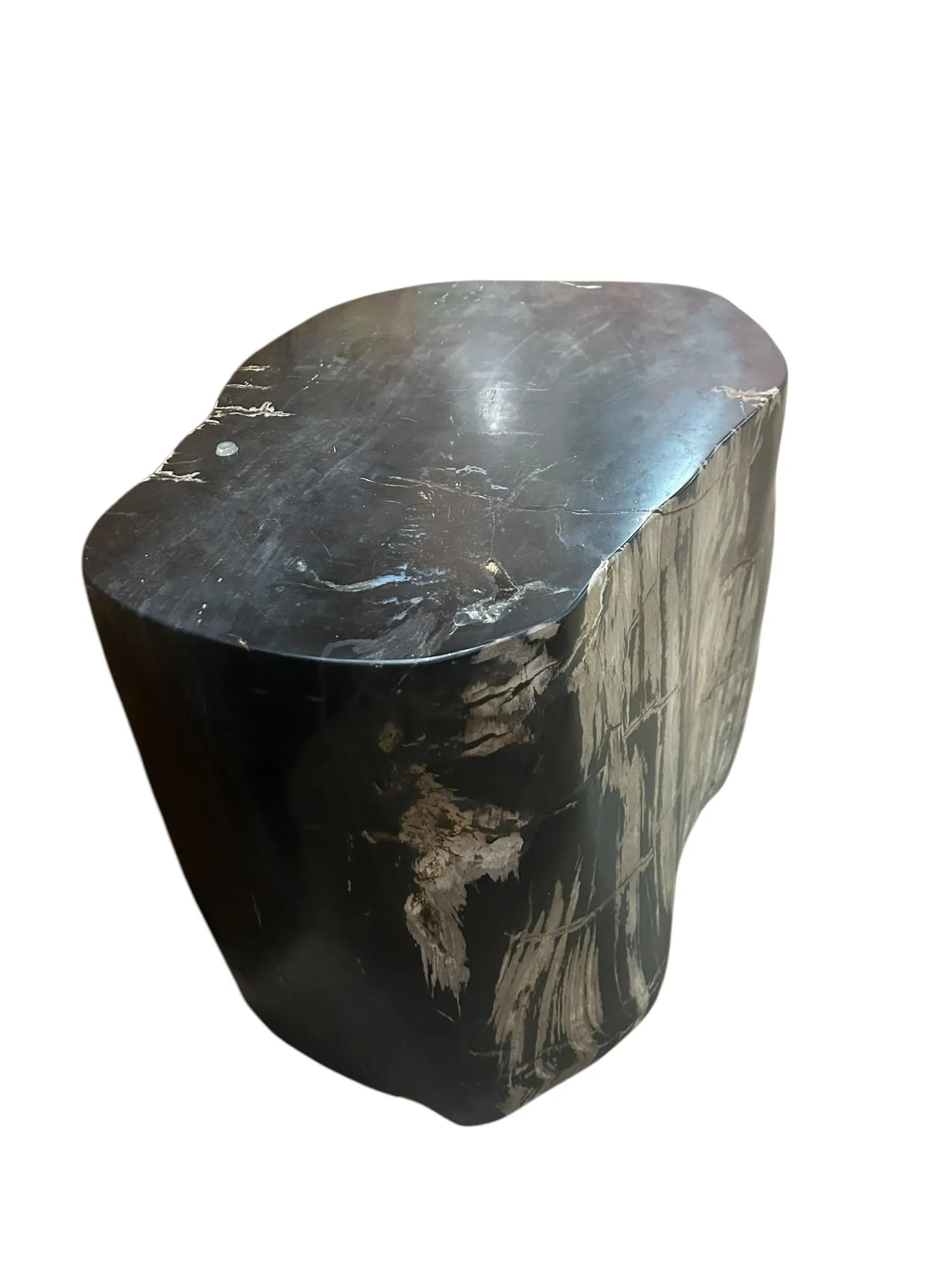 Petrified Wood Stump Broward Design Center