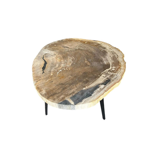 Petrified Wood Coffee Table (C) Broward Design Center