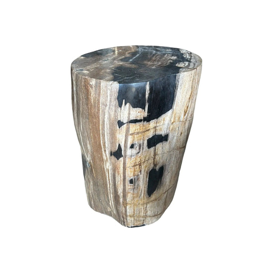 Petrified Wood Stool (L) Broward Design Center