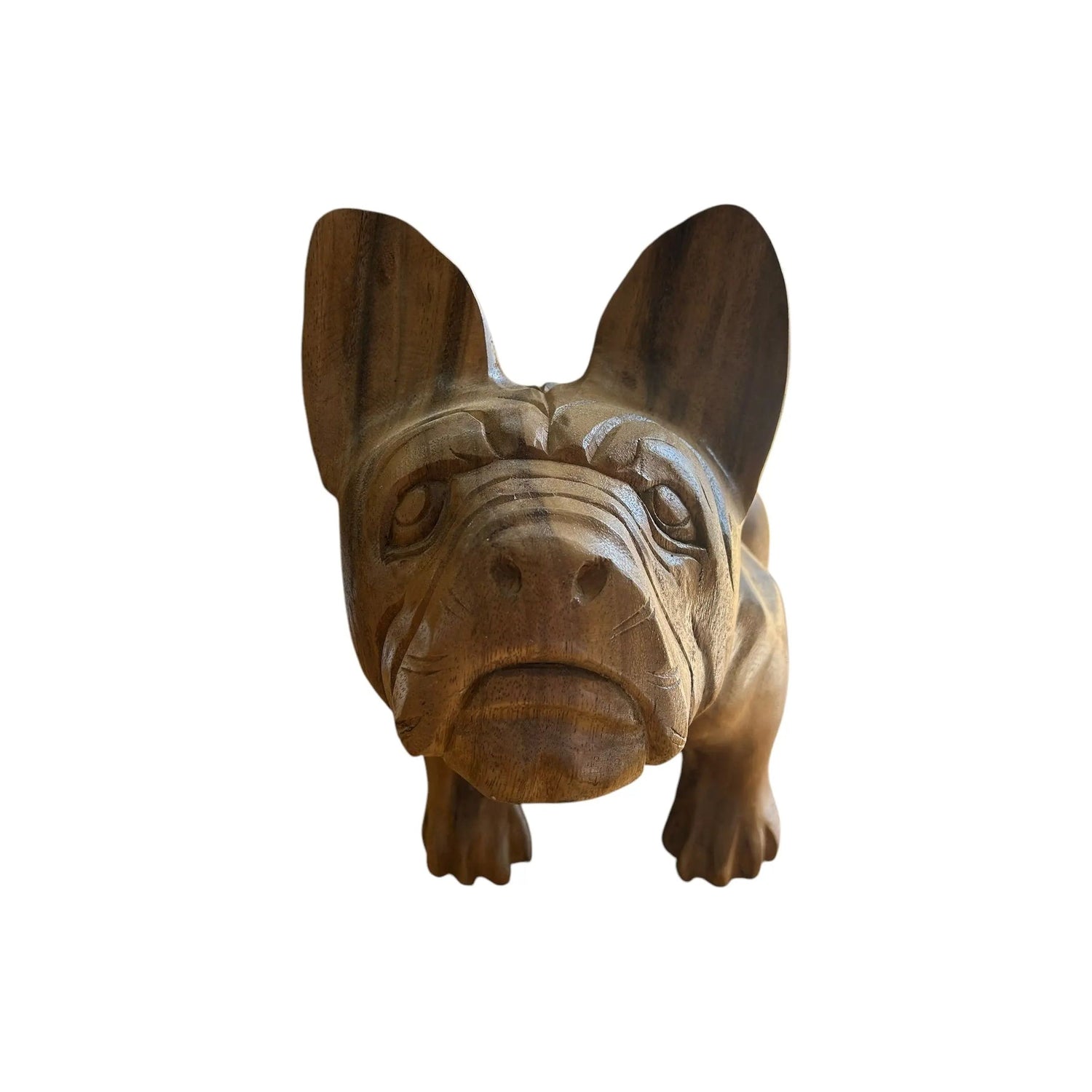 Bulldog Sculpture Anteak 10/9/24