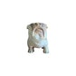 Bulldog Sculpture Anteak 10/9/24