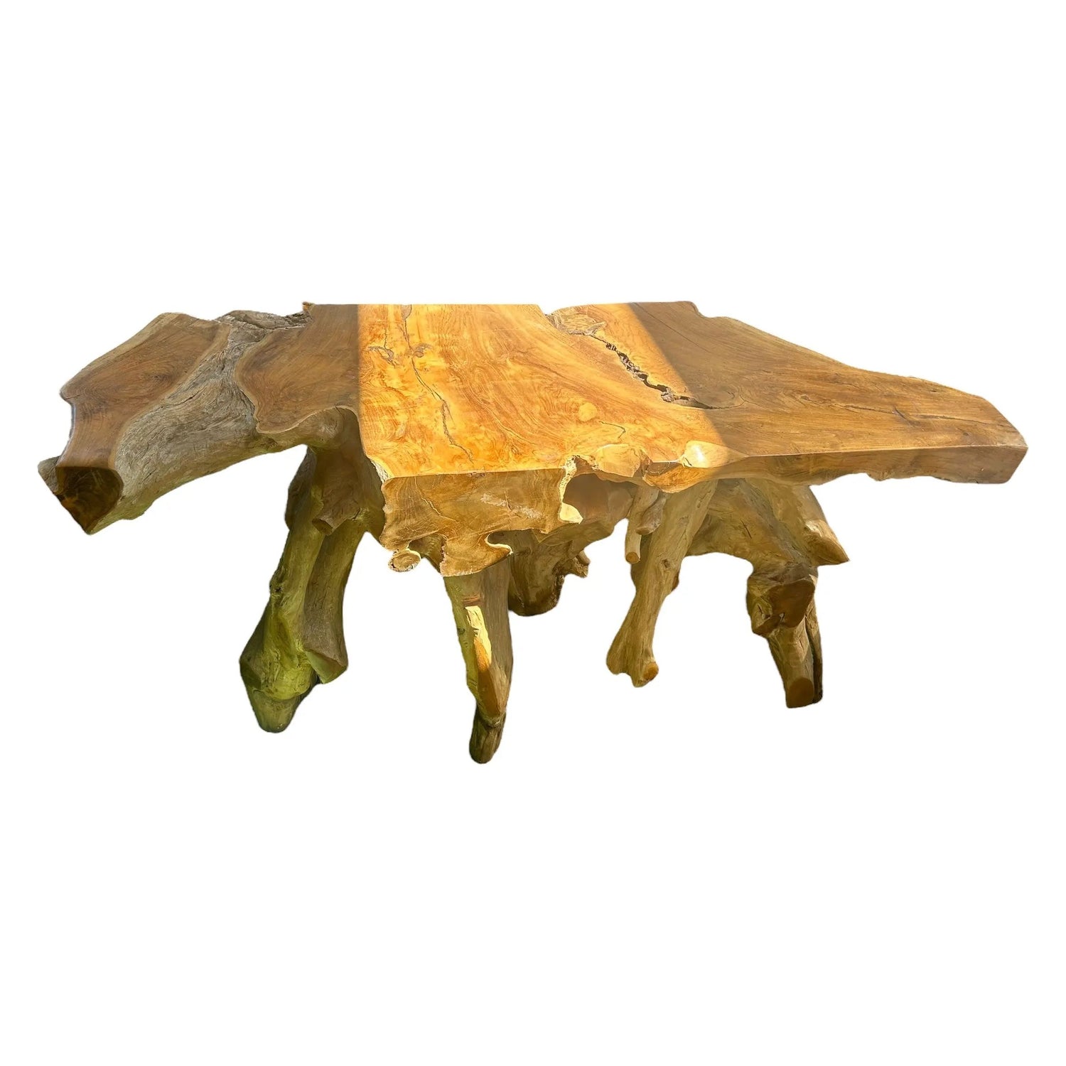 Teak Root Console (G) Broward Design Center