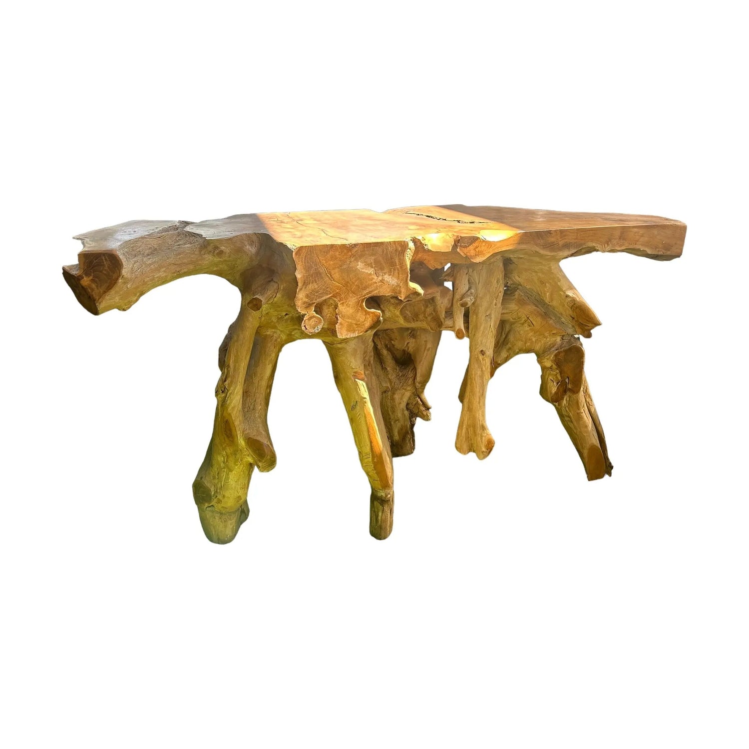 Teak Root Console (G) Broward Design Center