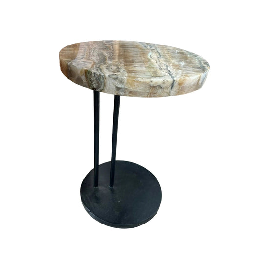 Petrified Wood Side Table Broward Design Center