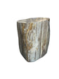 Petrified Wood Stump (M) The Broward Design Center