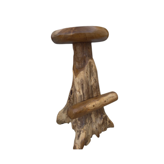 Teak Root Round Seat Barstool Broward Design Center