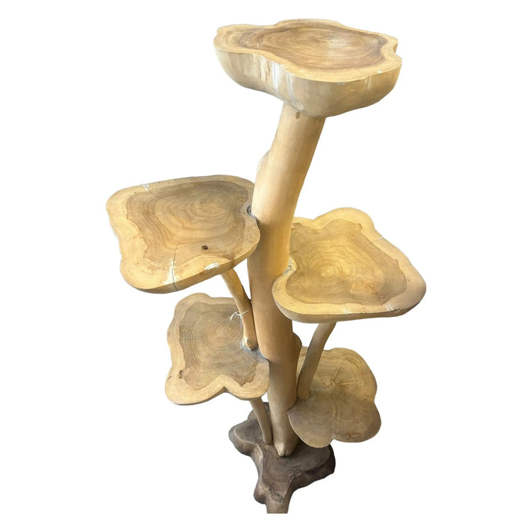 5 Tier Teak Plant Stand Broward Design Center