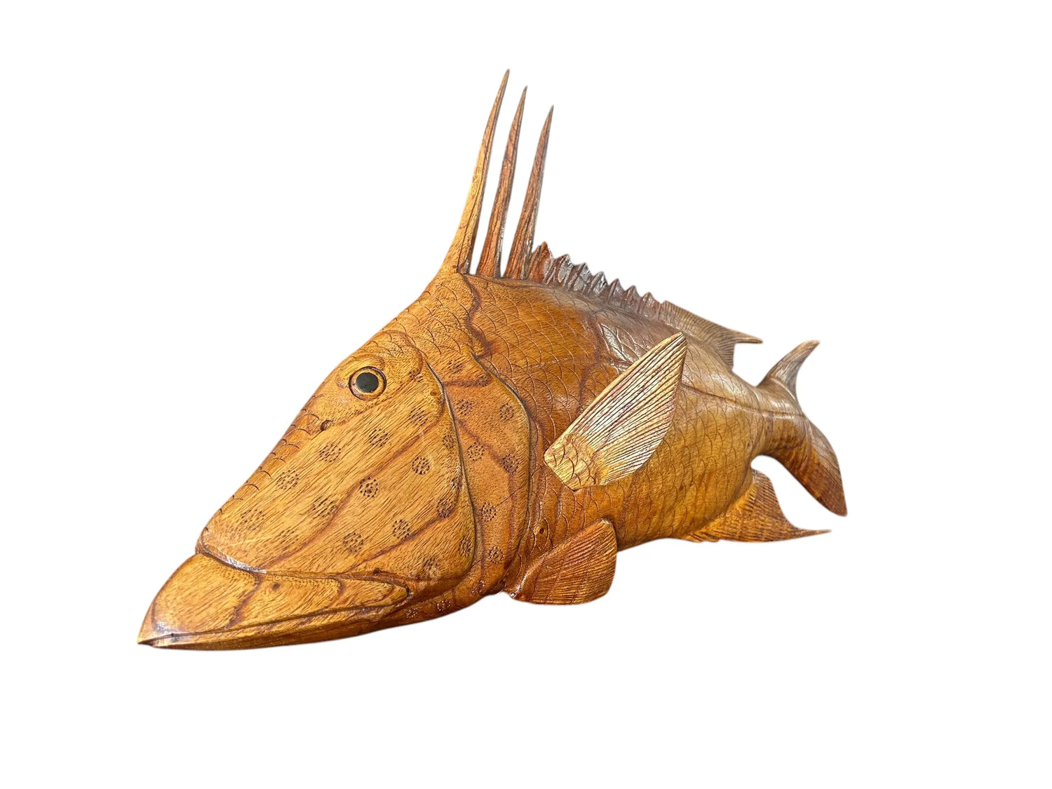 Teak Hogfish The Broward Design Center