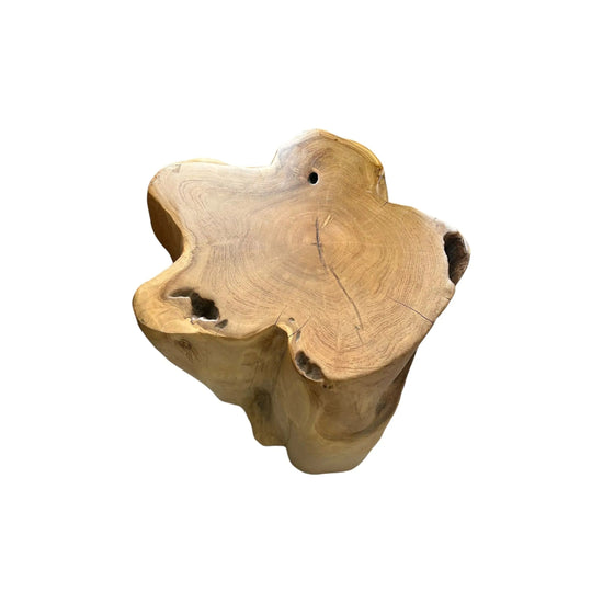 Solid Teak Stump (G) Broward Design Center