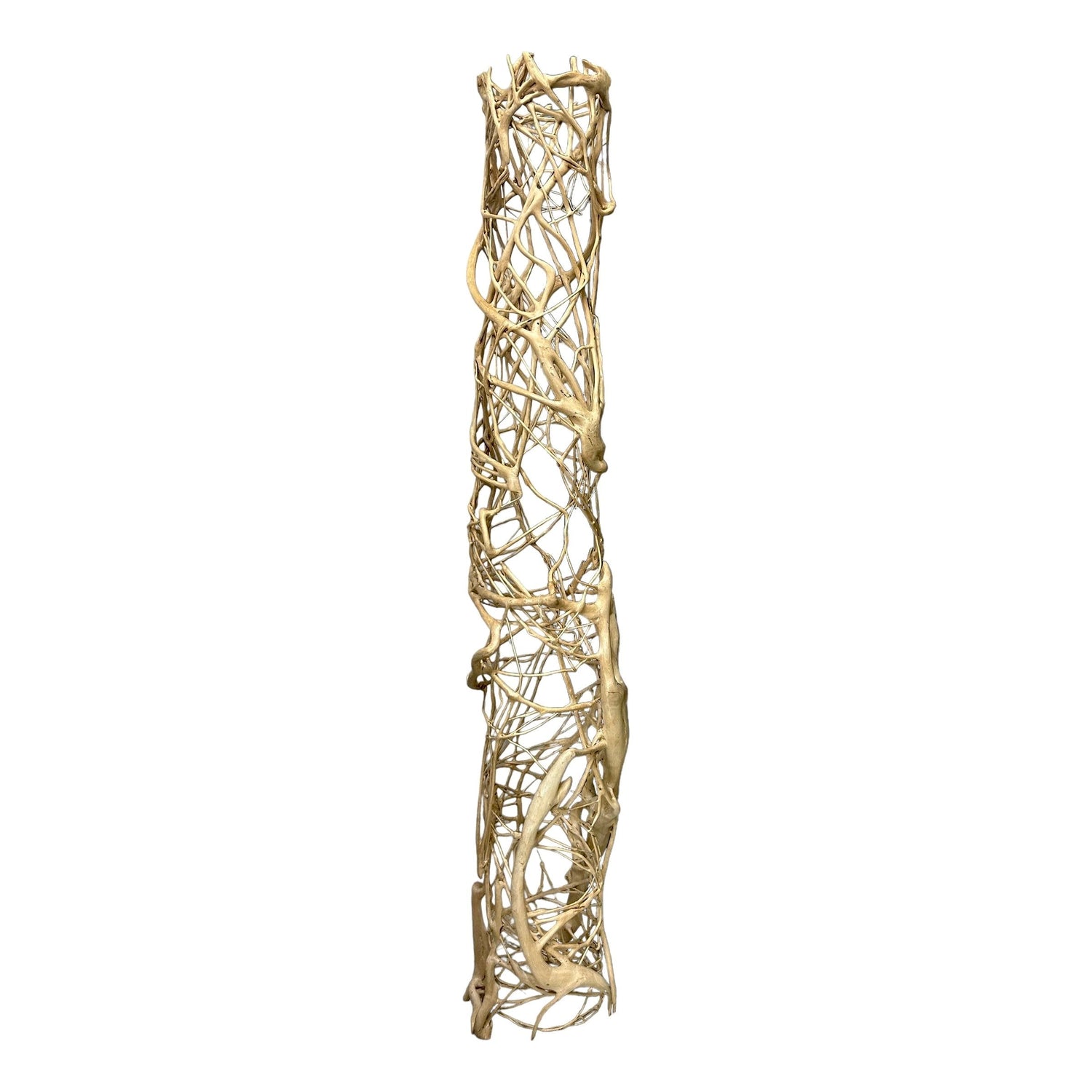 Root Column Bleached Broward Design Center