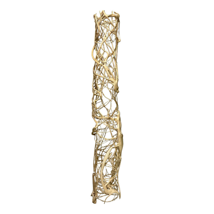 Root Column Bleached Broward Design Center