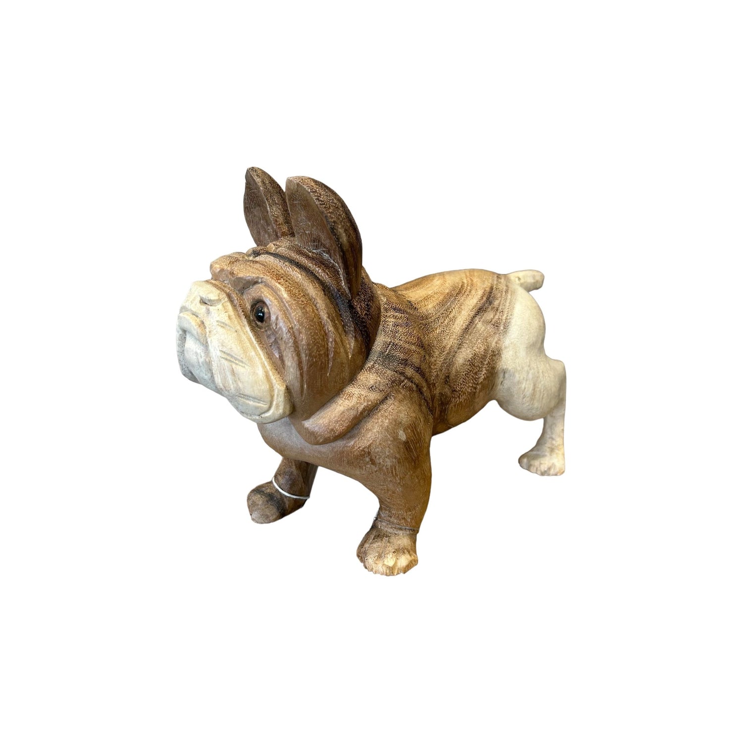 Teak Bulldog (Large) Broward Design Center