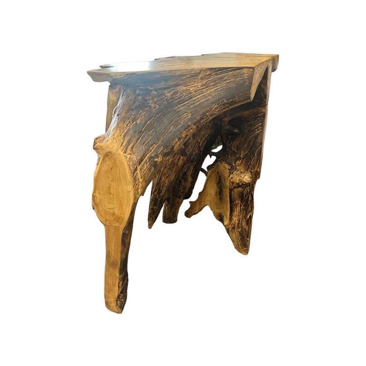 48" Teak Root Console Broward Design Center