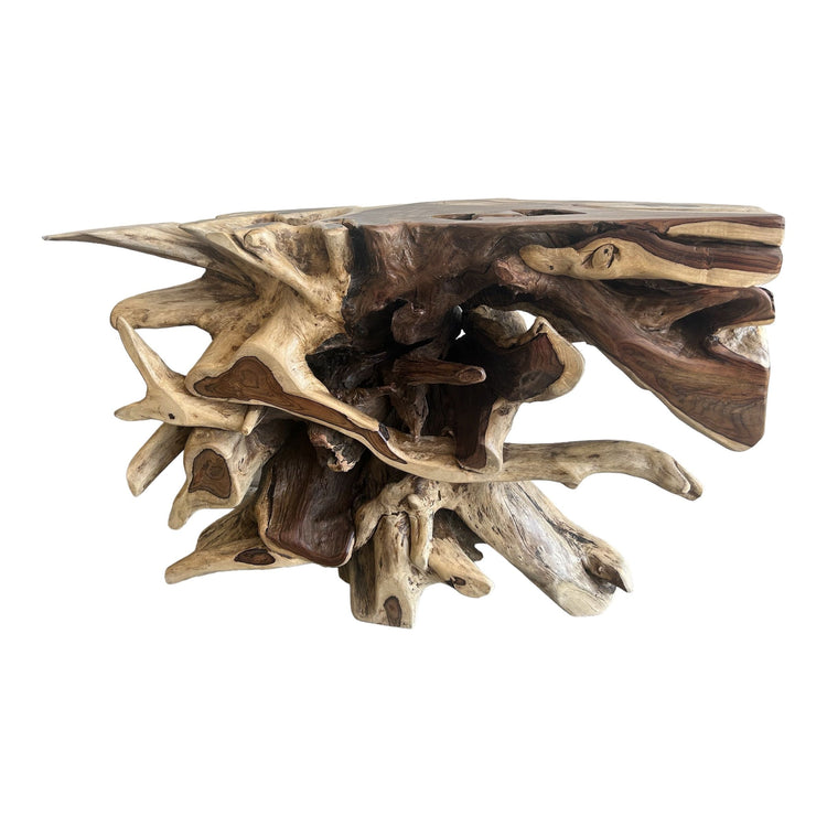 Rosewood Root Console (C) Broward Design Center